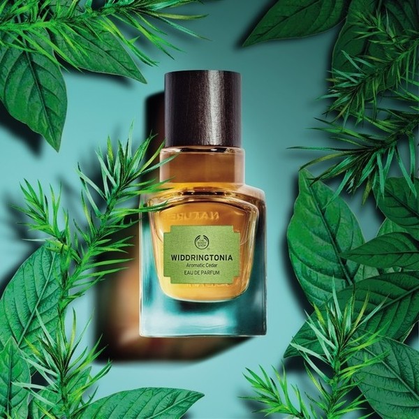 Photo Hélène Cayre