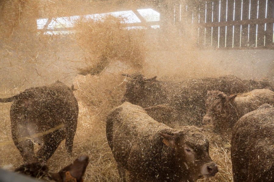 Photo SOPHIE BRANDSTROM