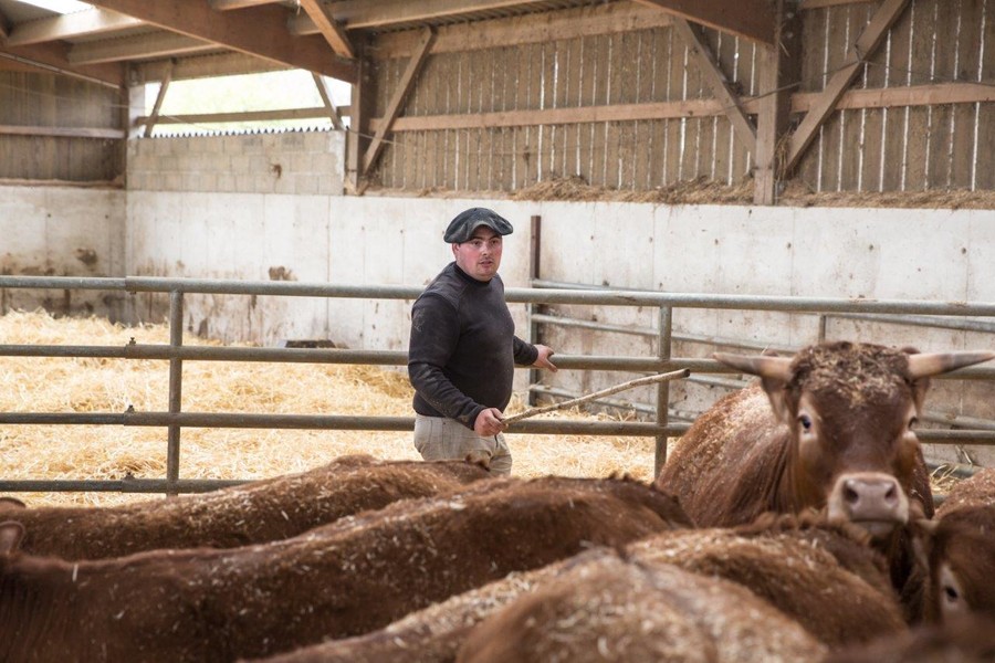 Photo SOPHIE BRANDSTROM