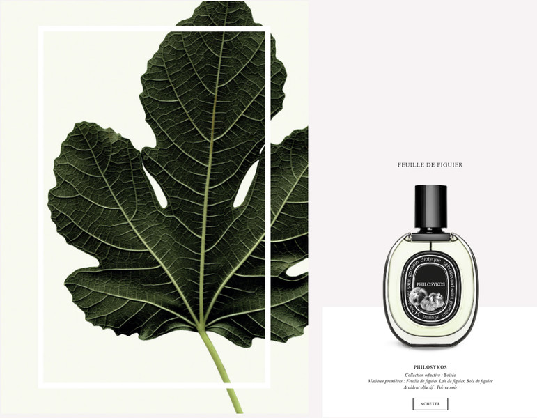 Photo Cedric Porchez