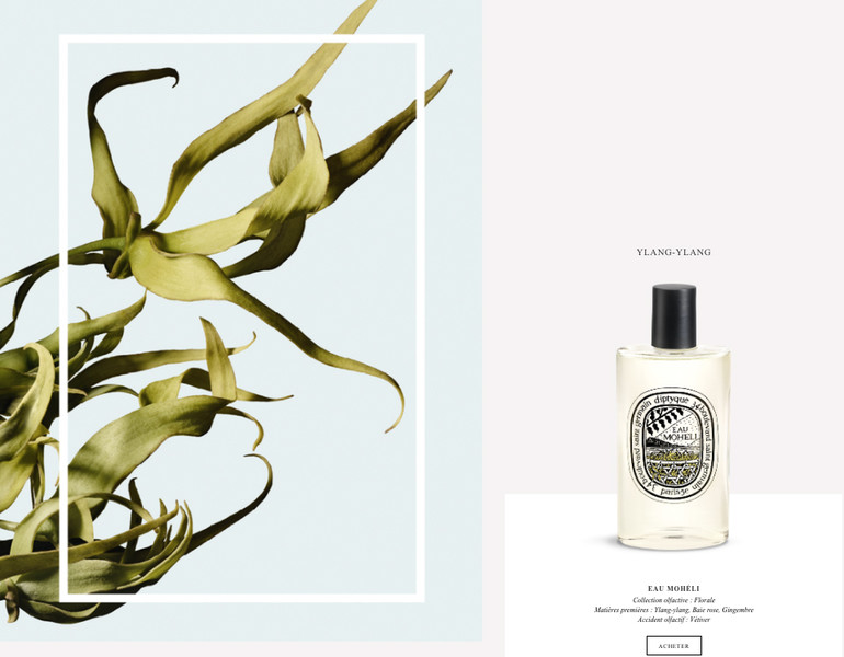 Photo Cedric Porchez