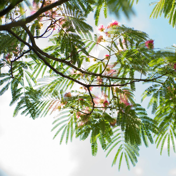 Photo Stéphanie Tétu