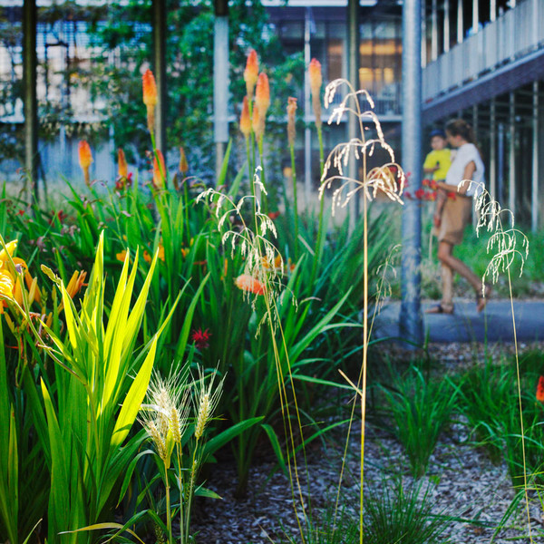 Photo Stéphanie Tétu