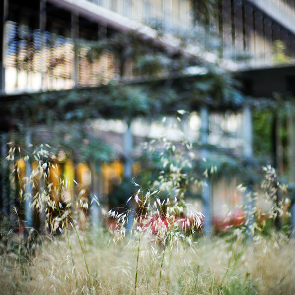 Photo Stéphanie Tétu