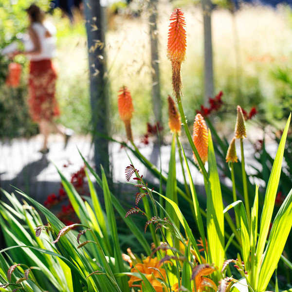 Photo Stéphanie Tétu