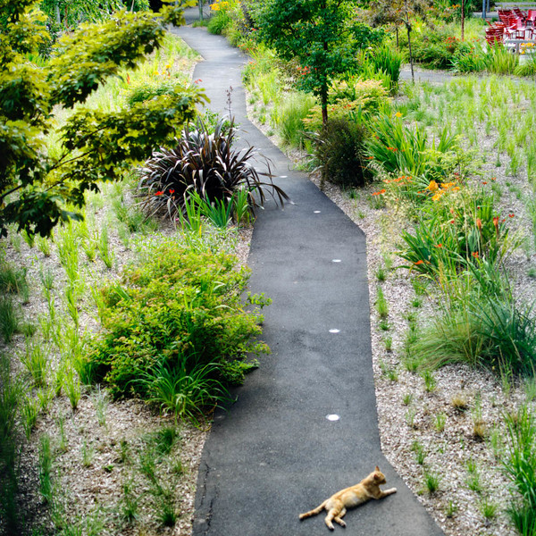 Photo Stéphanie Tétu