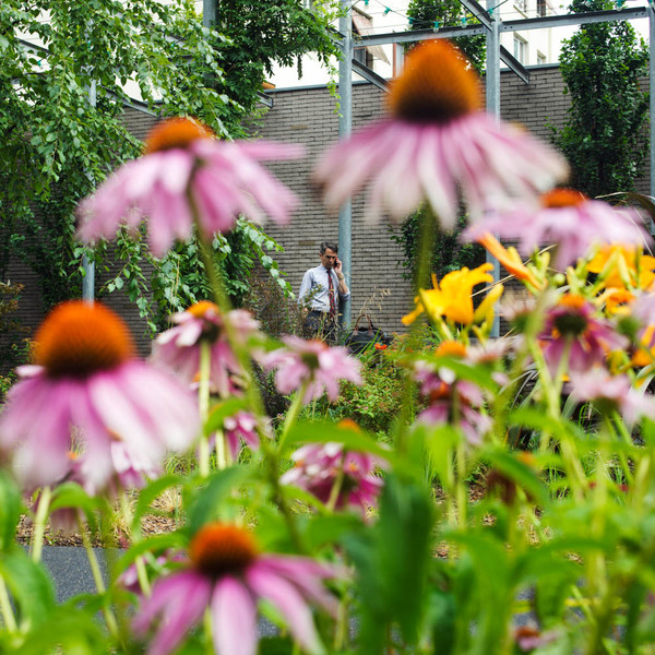 Photo Stéphanie Tétu