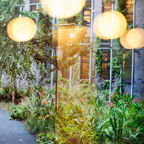 Photo Stéphanie Tétu