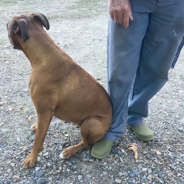 Photo Fred de Gasquet