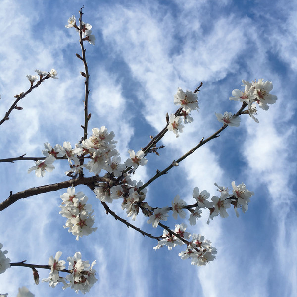 Photo Fred de Gasquet