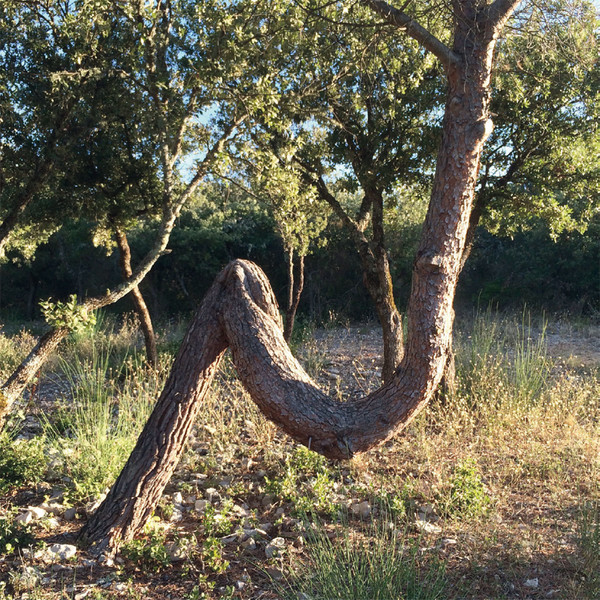 Photo Fred de Gasquet