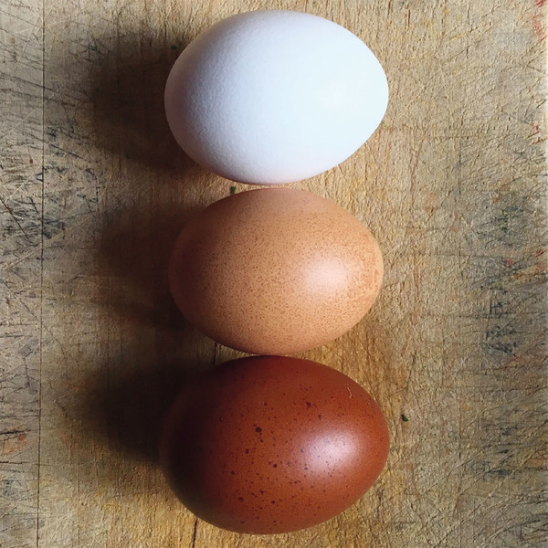 Photo Fred de Gasquet