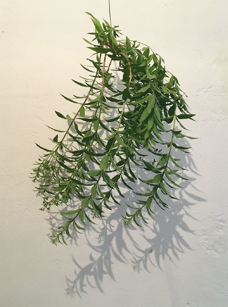 Photo Fred de Gasquet