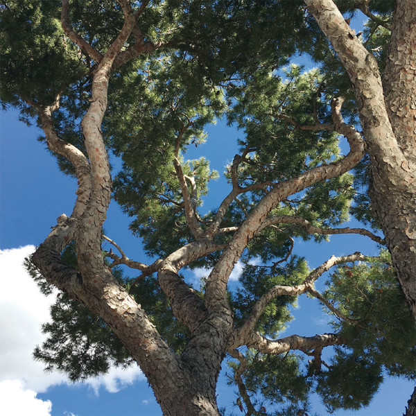 Photo Fred de Gasquet