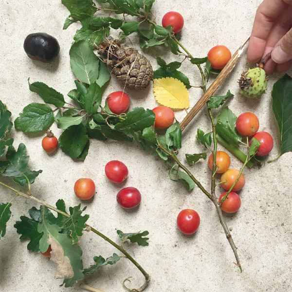 Photo Fred de Gasquet