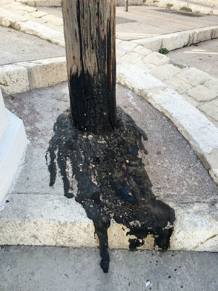 Photo Fred de Gasquet