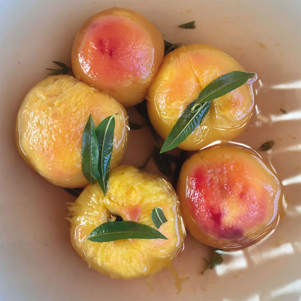 Photo Fred de Gasquet