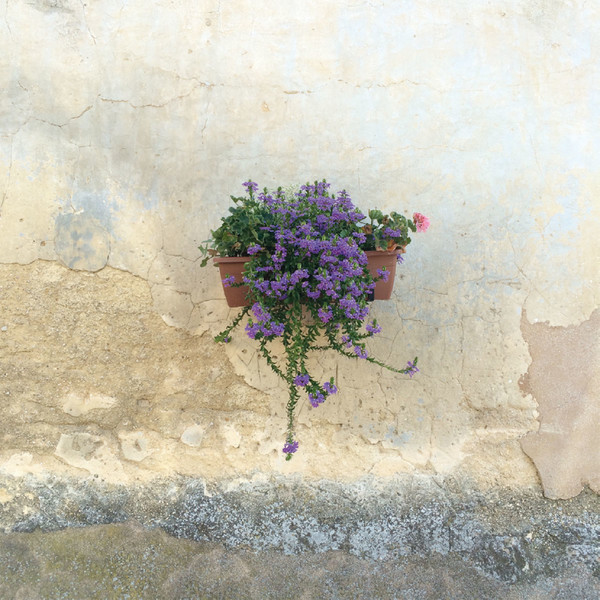 Photo Fred de Gasquet