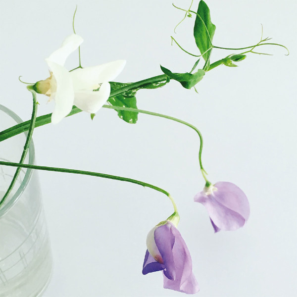 Photo Fred de Gasquet