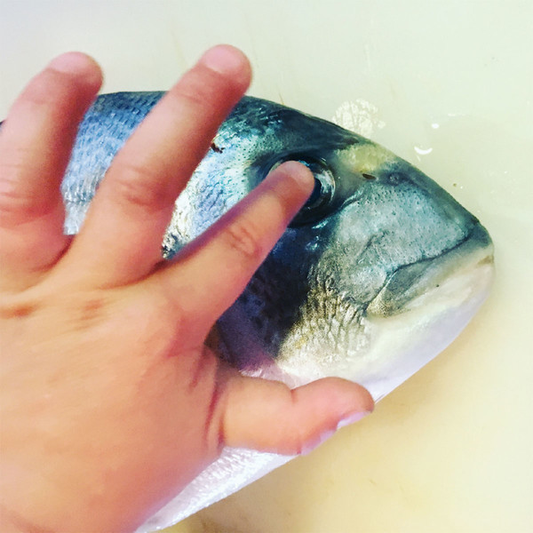 Photo Fred de Gasquet