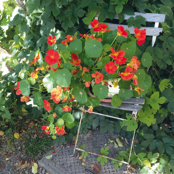 Photo Fred de Gasquet