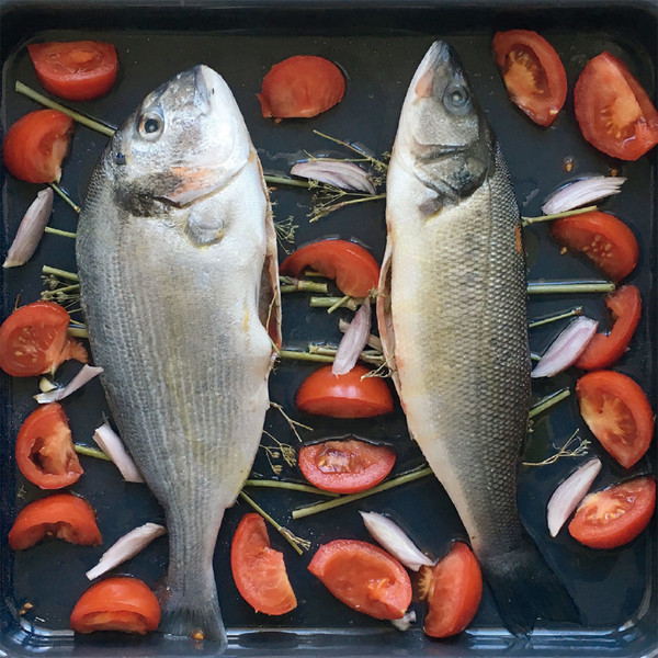 Photo Fred de Gasquet