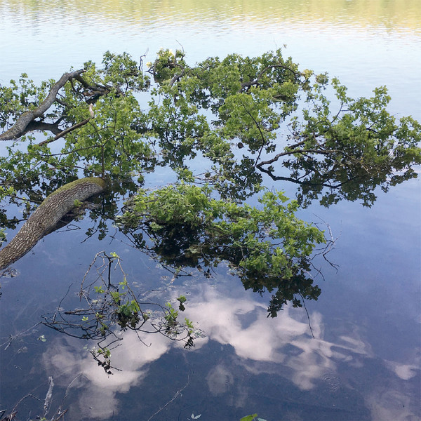 Photo Fred de Gasquet