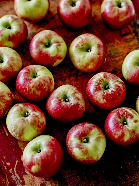 Photo Jean-Claude Amiel