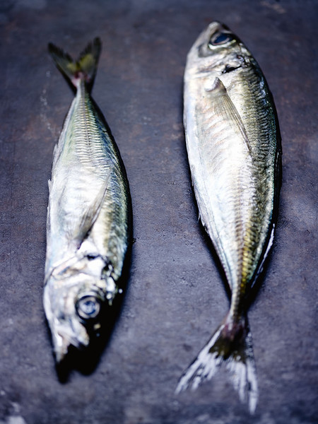 Photo Jean-Claude Amiel