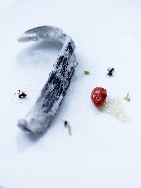 Photo Jean-Claude Amiel