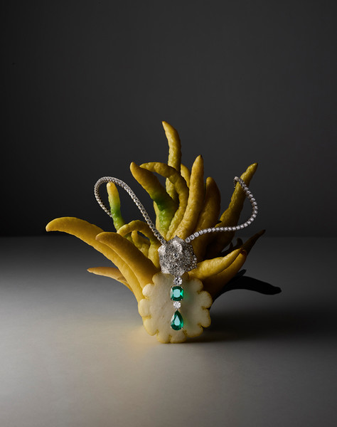 Photo Benjamin Henon