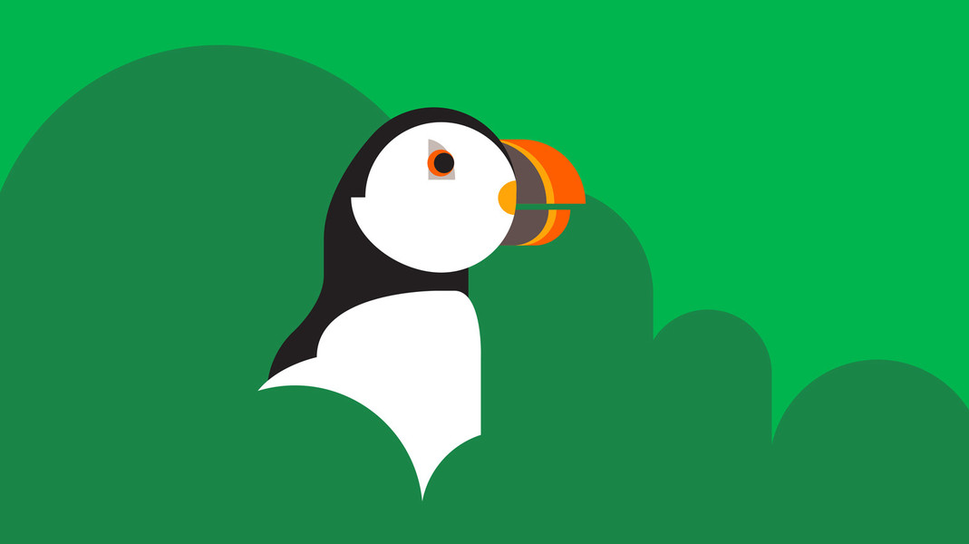 Photo Ben the illustrator