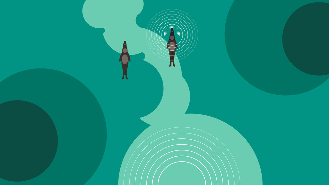 Photo Ben the illustrator