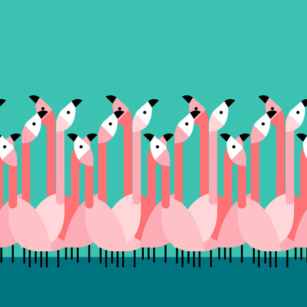 Photo Ben the illustrator