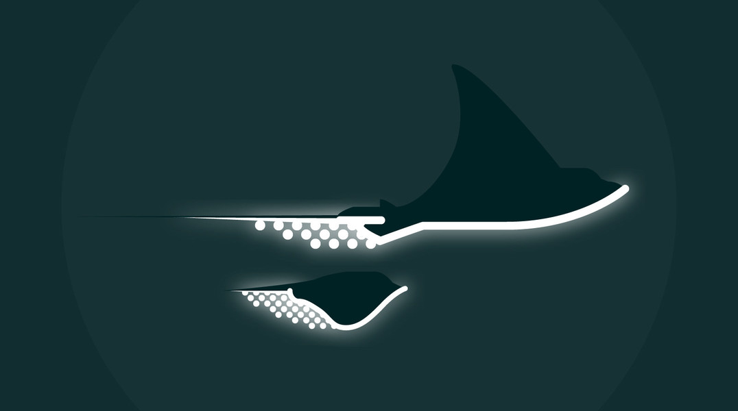 Photo Ben the illustrator