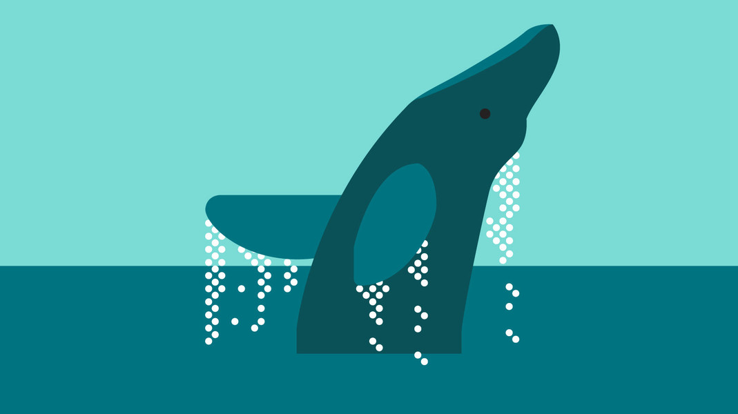 Photo Ben the illustrator