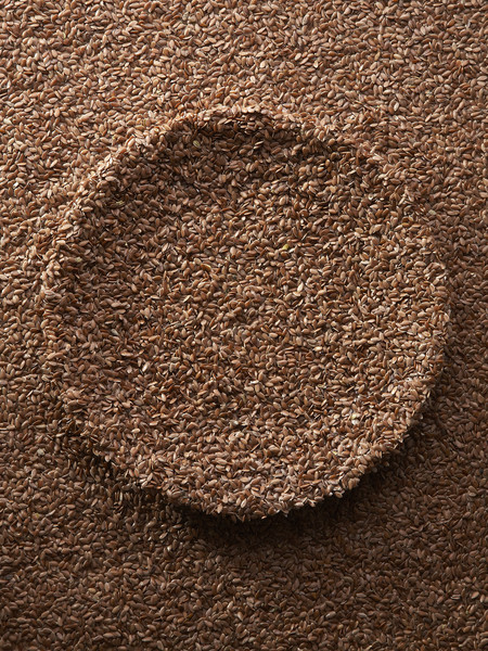 Photo CECILE & GUILLAUME