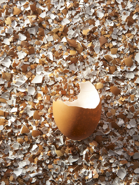 Photo CECILE & GUILLAUME