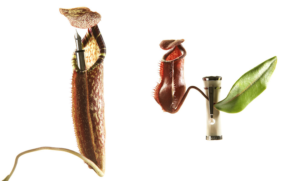 Photo CECILE & GUILLAUME