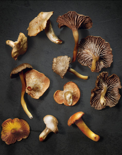 Photo Nicolas Bertherat