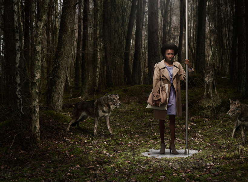 Photo Cédric Delsaux