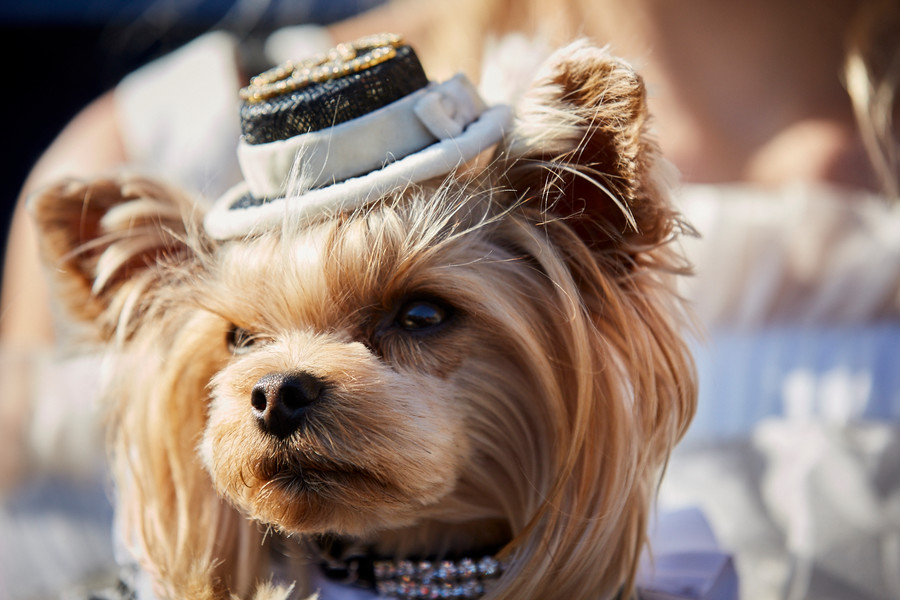 Photo Philippe Miran