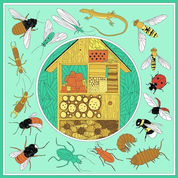 Photo ANNA WANDA GOGUSEY