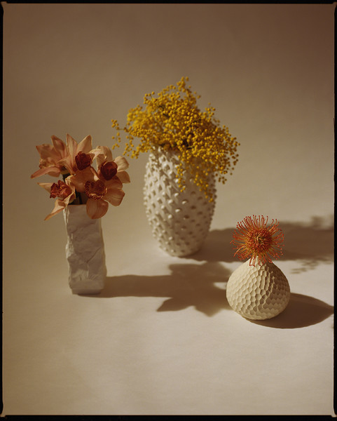 Photo Matthieu Delbreuve