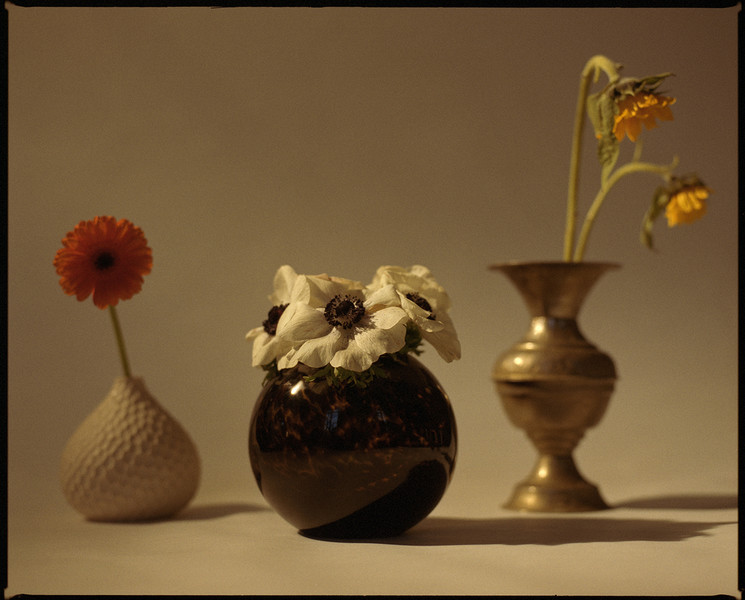 Photo Matthieu Delbreuve