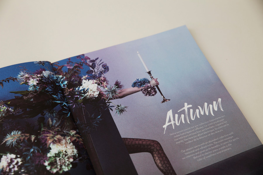 Photo Bonsoir Madame