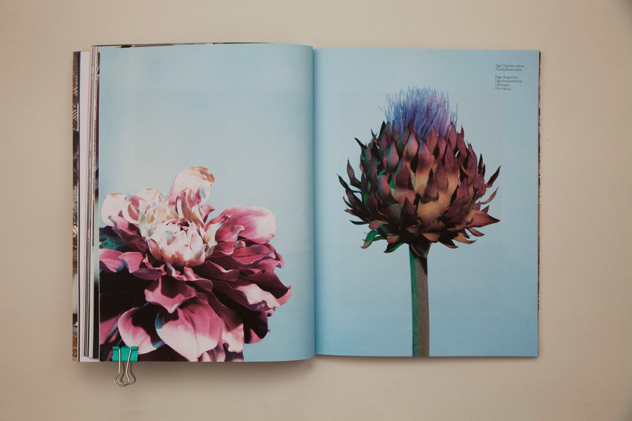 Photo Bonsoir Madame