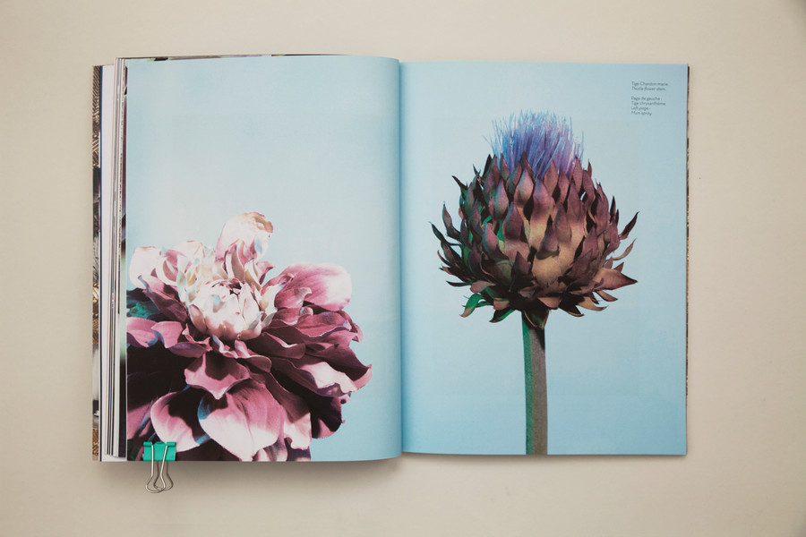 Photo Bonsoir Madame