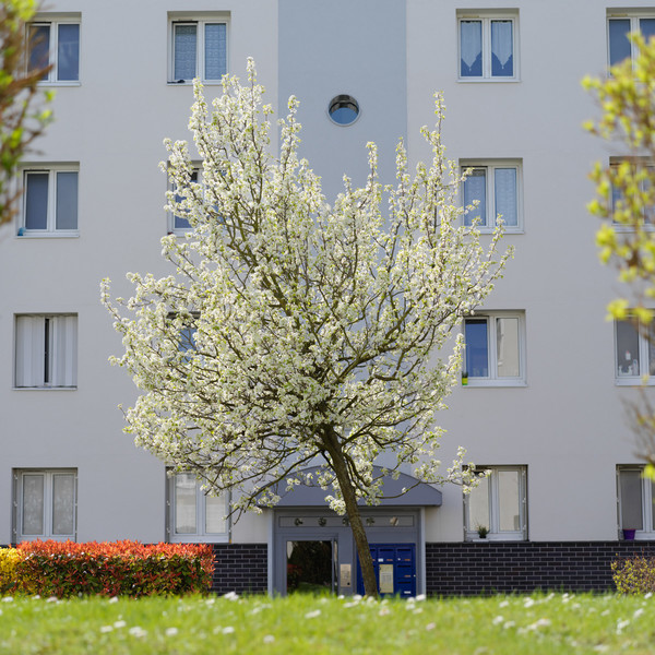 Photo Stéphanie Tétu