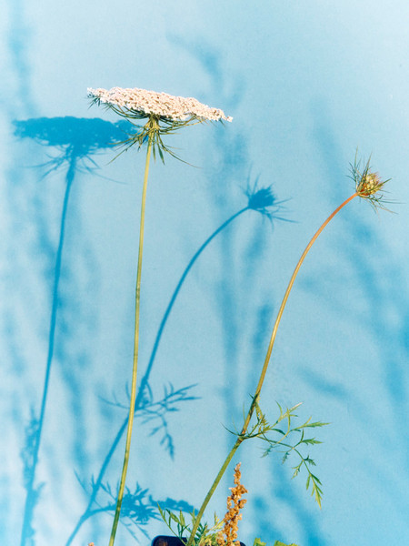 Photo Thomas Chéné